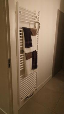 Een Klein Appartementje Zonder Keuken In Het Centrum Sleep At Hamtingh'S Hilvarenbeek Luaran gambar